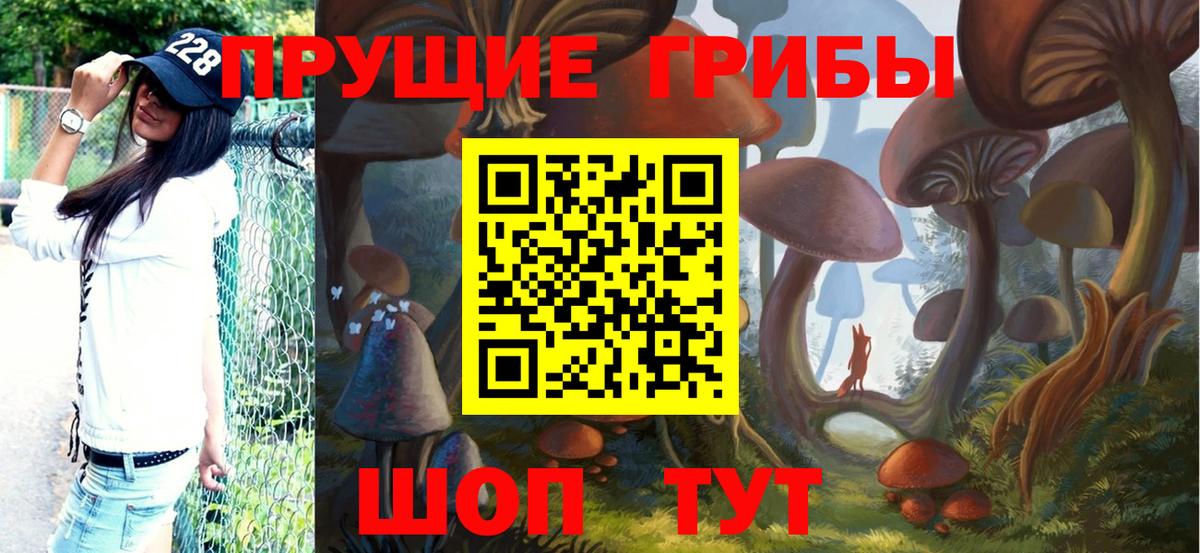 Псилоцибиновые грибы мухоморы  Вход с VPN  Каспийск  где купить наркотик  Псилоцибиновые грибы прущие грибы 