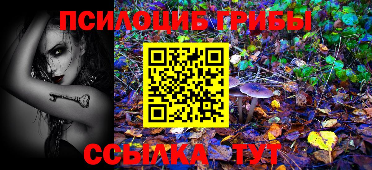 Псилоцибиновые грибы GOLDEN TEACHER Каспийск